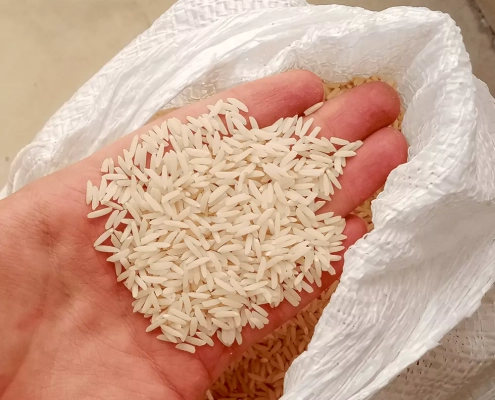 خرید برنج در هرمزگان