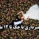 فیلمبرداری در بابل | اقساطی با چک